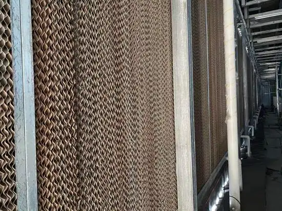 Overview of a large-scale mining farm housing GPU mining rigs