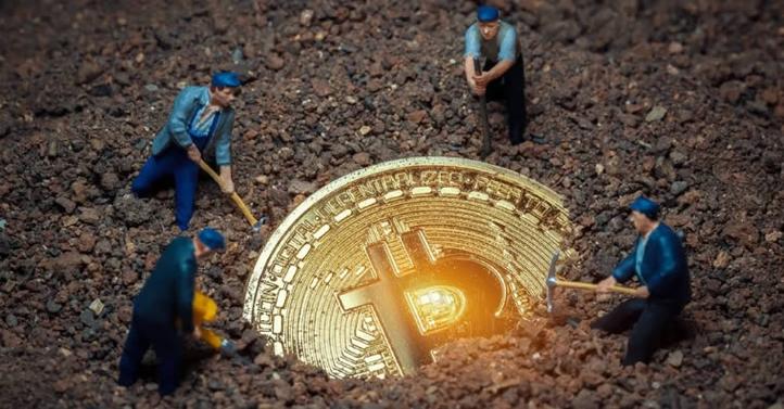 A large-scale mining farm with rows of mining machines