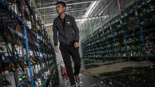 A modern Bitcoin mining rig operating in a facility