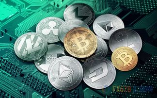 Bitcoin mining rigs operating in a high-capacity mining farm